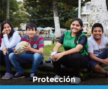 clic para consultar información de Protección imagen con enlace a sección de Protección